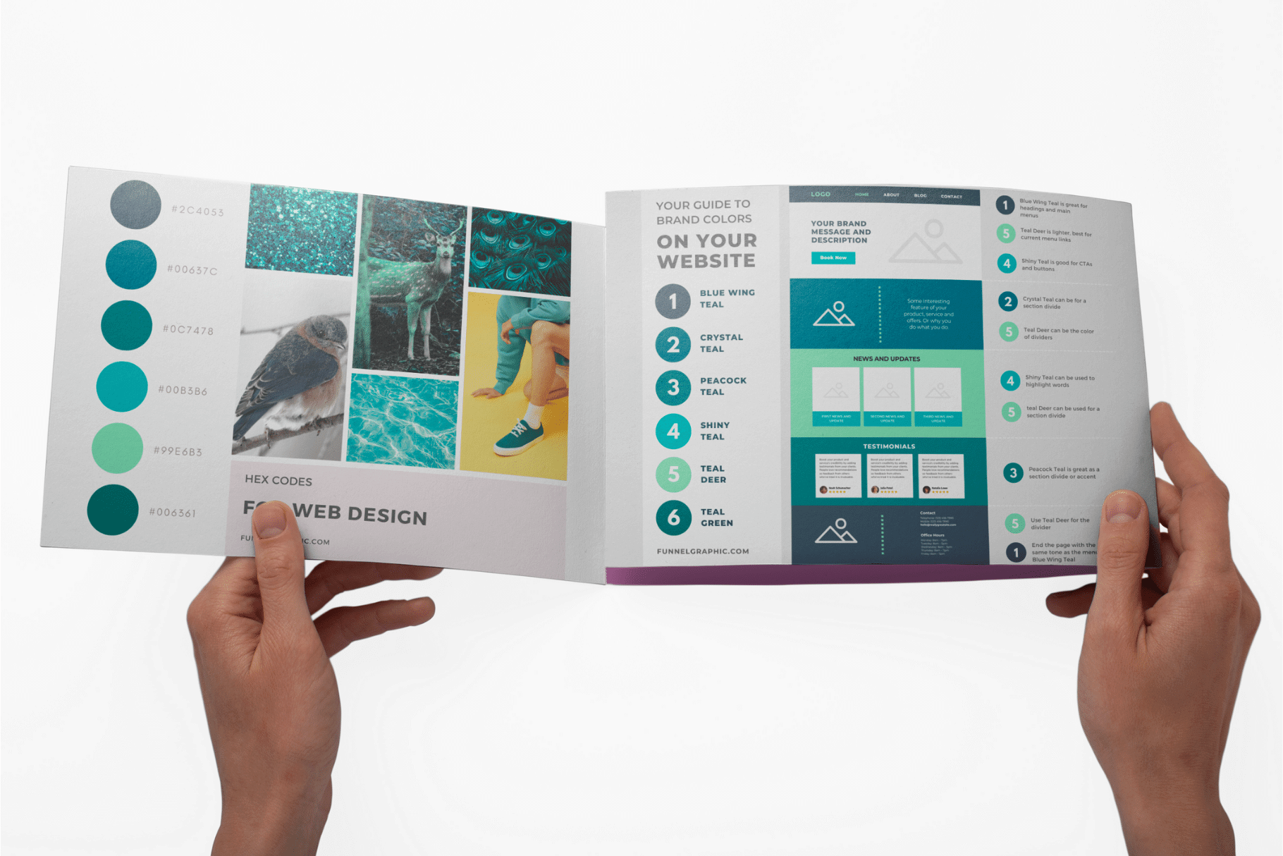 hands holding an opened mockup teal canva color palette
