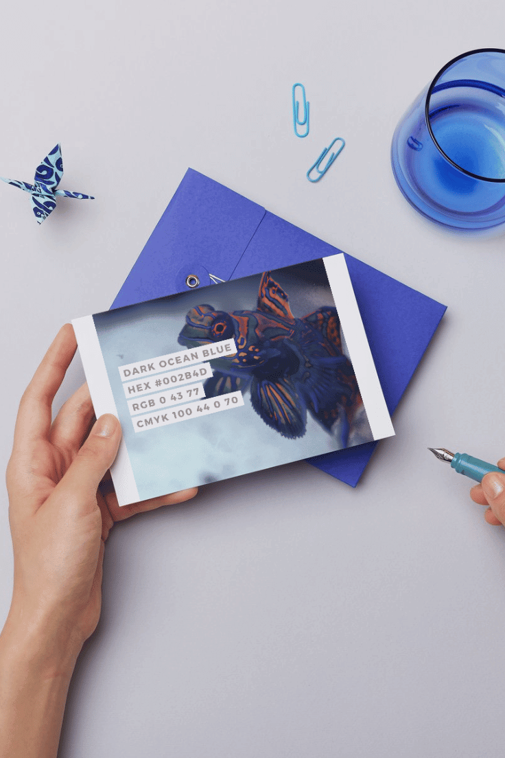 Pristine Ocean Premium Canva Color Palette 3 pristine ocean hands opening trifold