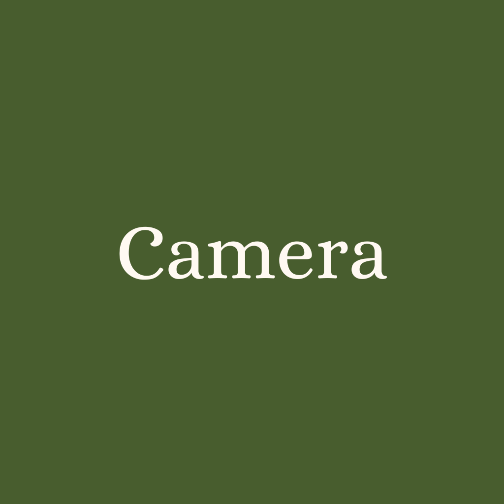 75 Free Editable Christmas App Icons On Canva 1 camera christmas app icons