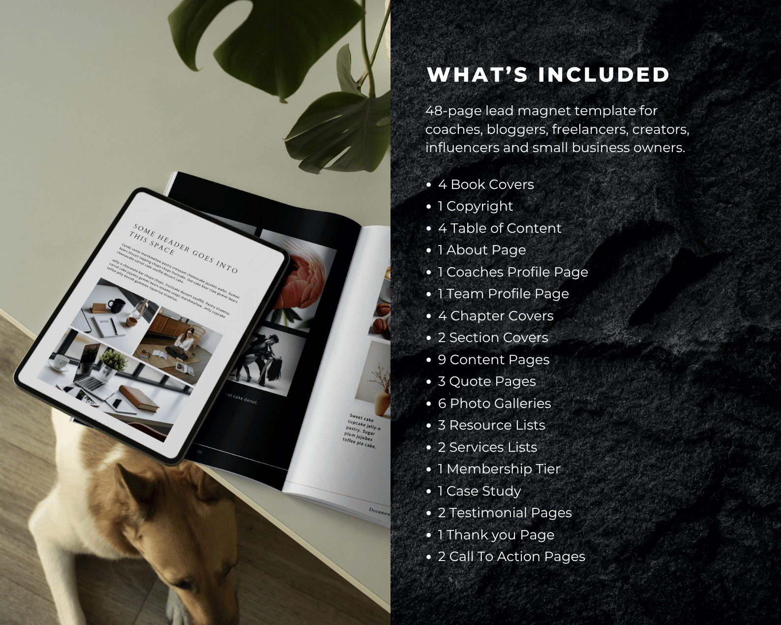 An open book and tablet displaying content on a table, with a dog underneath. Text describes a 48-page template package.